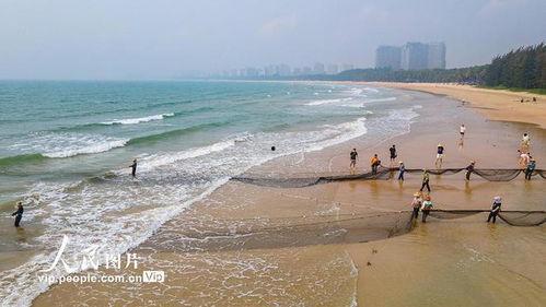 海南赶海爆料视频下载,揭秘渔民捕捞瞬间，高清视频带你领略海洋魅力  第3张