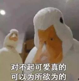 爆料鸭子吃药会死吗视频 第1张 爆料鸭子吃药会死吗视频 第1张